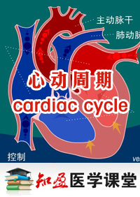 Ķ(cardiaccycle)Ƶ